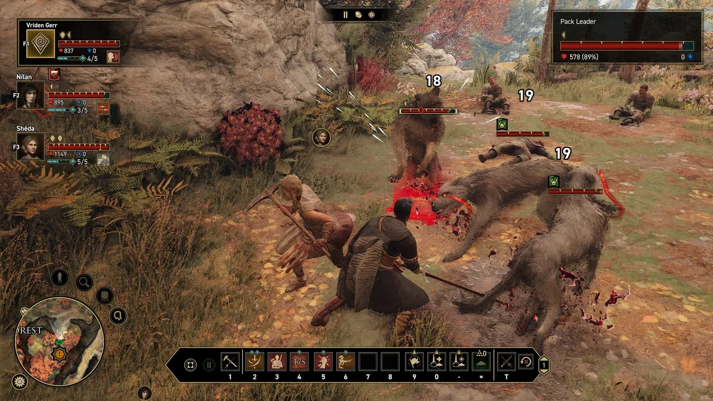 欧罗巴杯,弗赖堡关键,球员伤停解,必赢官方网站入口,必赢bwin官方网站,bwin必赢官方网站,必赢·BWIN唯一官方网址