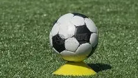 何超莲谈理想伴侣，铭记赌王父言