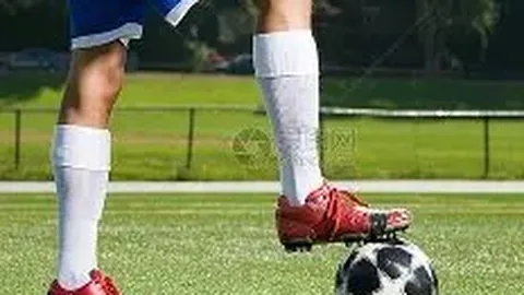 网友呼吁陈晓赵丽颖重燃旧情，陈妍希回应：无需关注