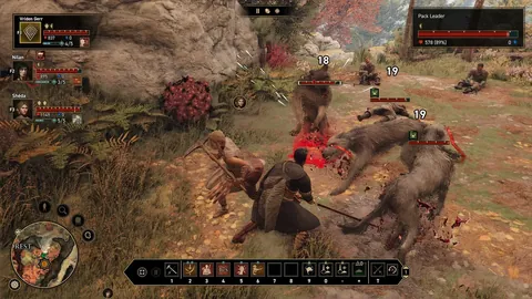 欧罗巴杯：弗赖堡关键球员伤停解析